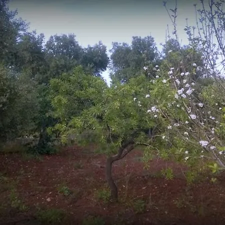 Nyaraló Sperti